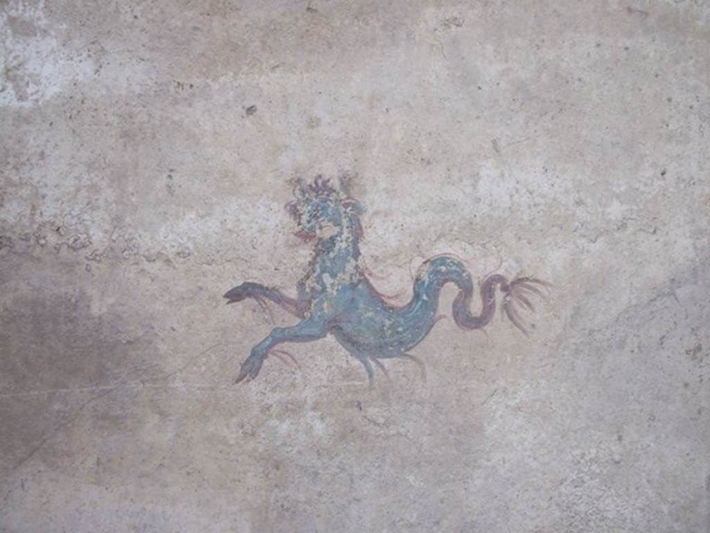 IX.5.6 Pompeii. December 2007. Room 8, wall painting of sea creature, in corridor.