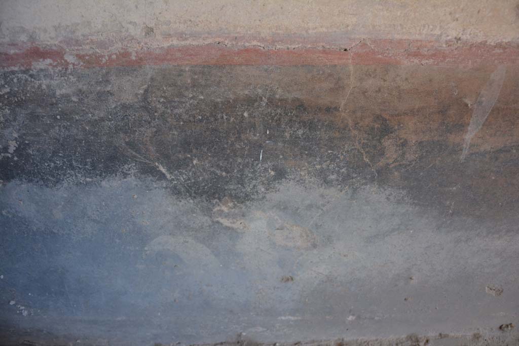 IX.5.6 Pompeii. May 2017. Room k, detail of painted plant from zoccolo on east wall. 
Foto Christian Beck, ERC Grant 681269 DCOR.

