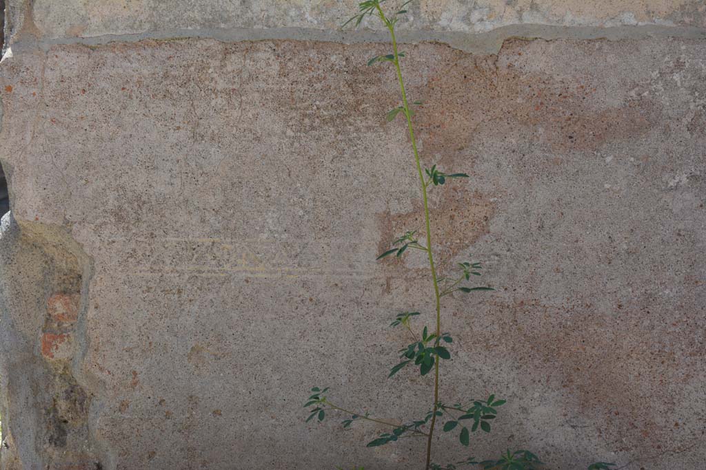 IX.5.6 Pompeii. May 2017. Room a, detail of painted decoration from zoccolo on west wall.
Foto Christian Beck, ERC Grant 681269 DÉCOR.
