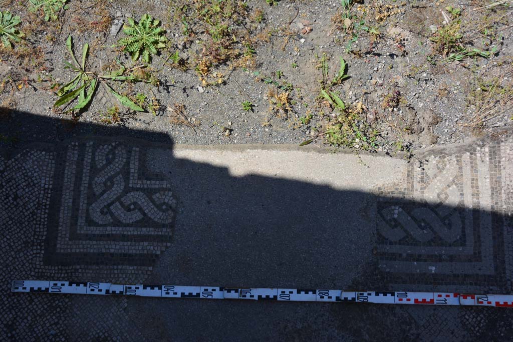 IX.5.6 Pompeii. May 2017. Atrium c’, mosaic on floor between rooms h and g, looking north. 
Foto Christian Beck, ERC Grant 681269 DÉCOR.
