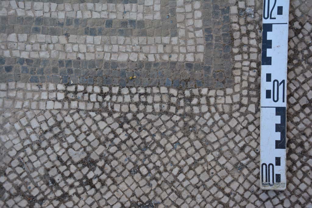 IX.5.6 Pompeii. May 2017. Atrium c’, detail of mosaic border on floor between rooms h and g. 
Foto Christian Beck, ERC Grant 681269 DÉCOR.

