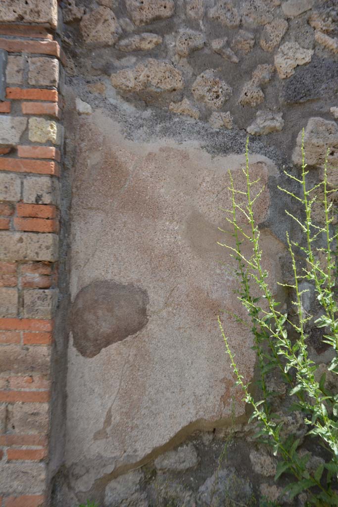 IX.5.7 Pompeii. May 2017. Detail from east wall in north-east corner.
Foto Christian Beck, ERC Grant 681269 DÉCOR.

