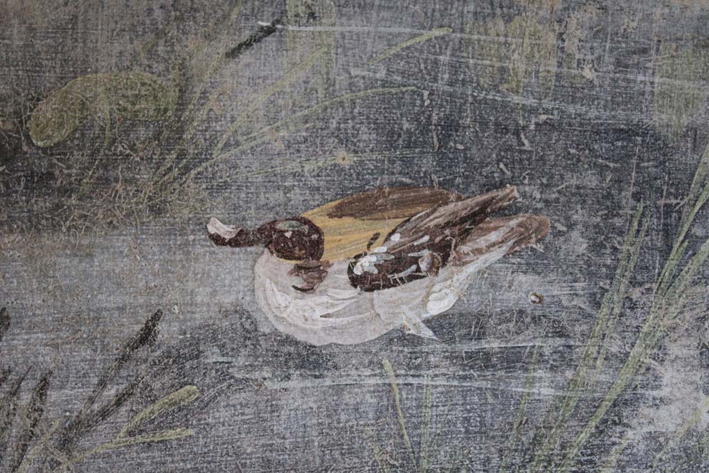 IX.5.9 Pompeii. May 2019. Room l (L), detail of duck on river.  
Foto Christian Beck, ERC Grant 681269 DCOR.
