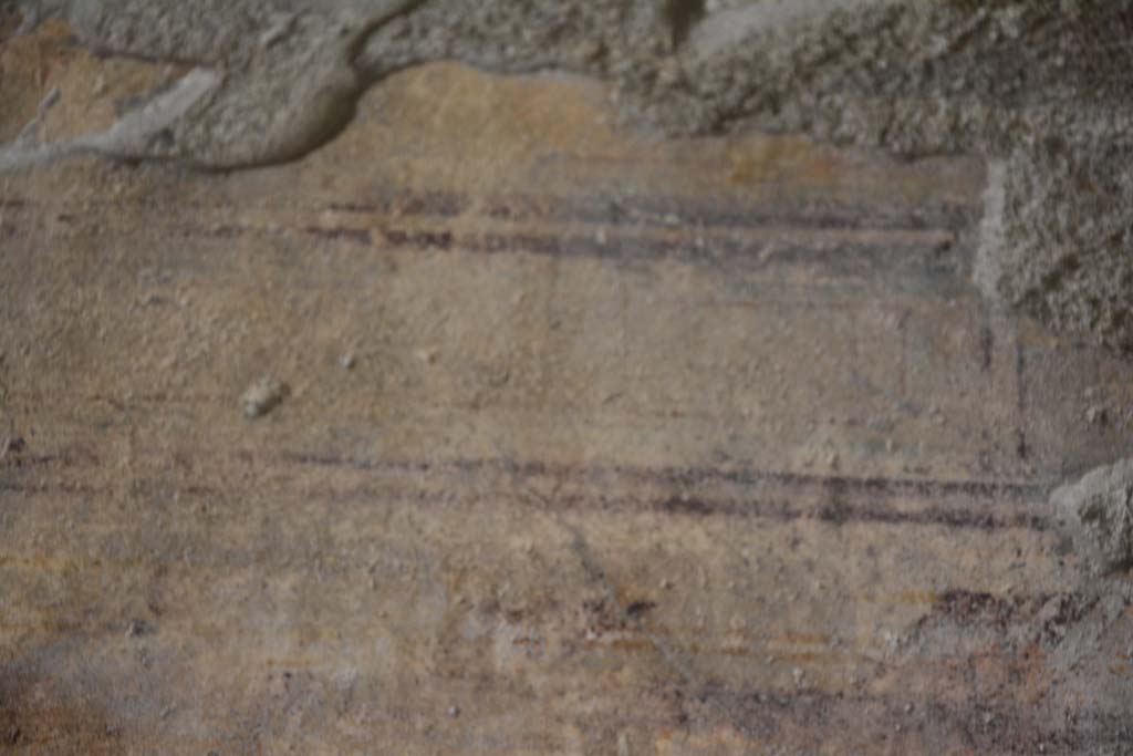 IX.5.9 Pompeii. March 2017. Room e, detail from north wall.
Foto Christian Beck, ERC Grant 681269 DCOR.
