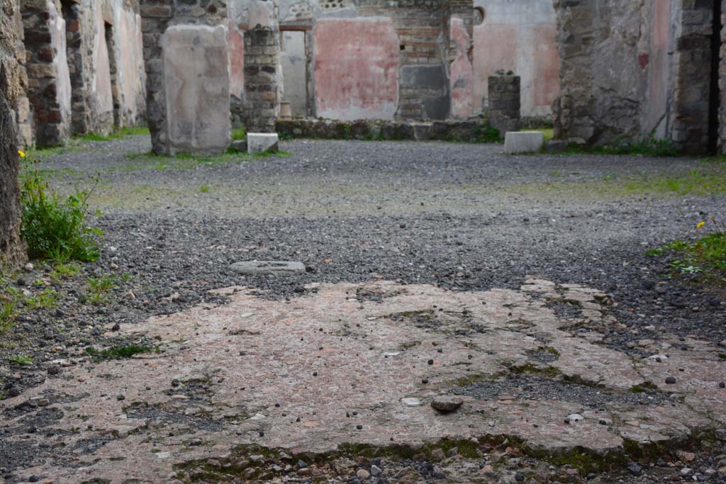 IX.5.9 Pompeii. March 2017. Room “a”, looking south across flooring in entrance corridor towards atrium “b”.
Foto Christian Beck, ERC Grant 681269 DÉCOR.
