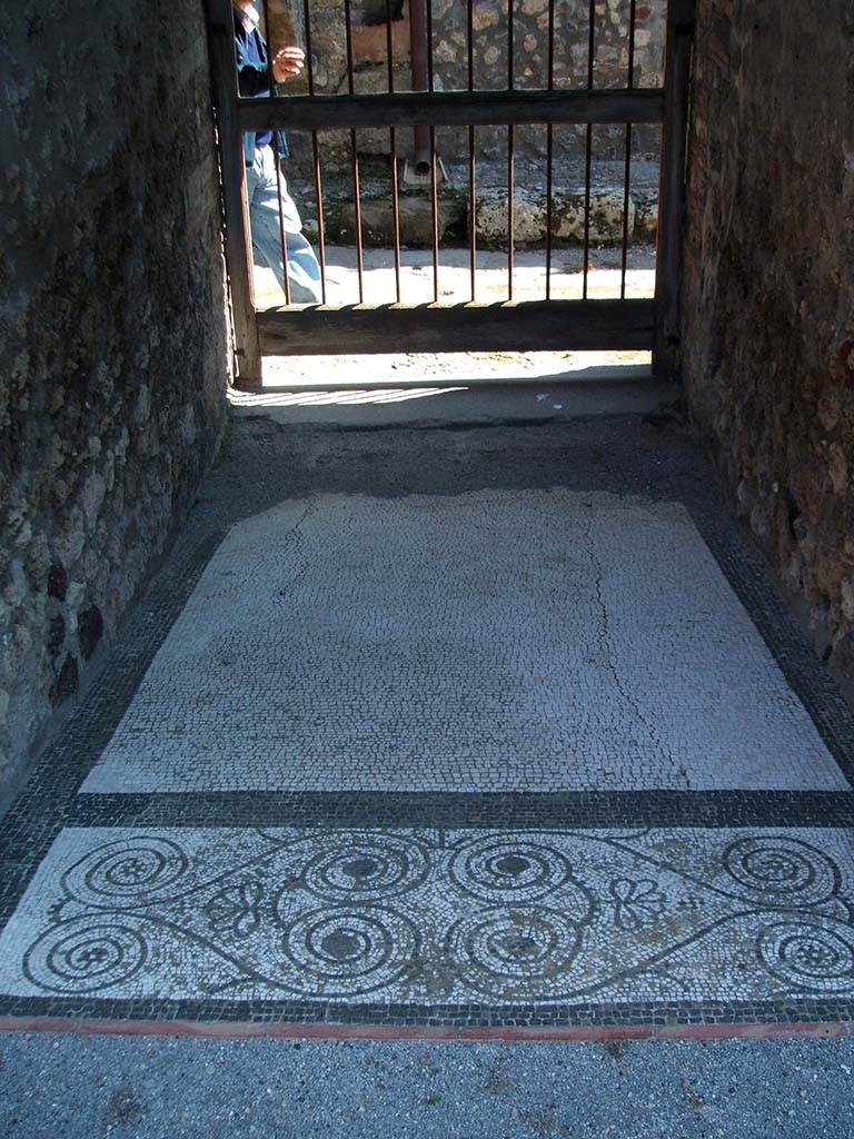 IX.5.14 Pompeii. May 2005. 
Looking east across mosaic floor of fauces (room “a”), from atrium towards entrance doorway.
