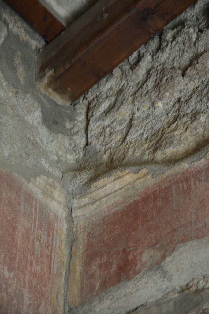 IX.5.14 Pompeii. May 2017. Room “g”, detail from upper south-east corner.
Foto Christian Beck, ERC Grant 681269 DÉCOR.
