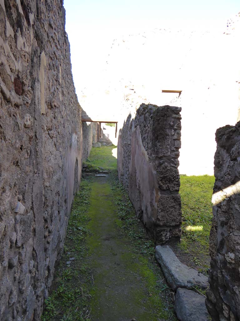 IX.5.17 Pompeii. January 2017. 
Looking north from entrance doorway along corridor y to doorway to garden u (of IX.5.6).  
Doorway to the stable q leading to room x is on the right.
Foto Annette Haug, ERC Grant 681269 DÉCOR

