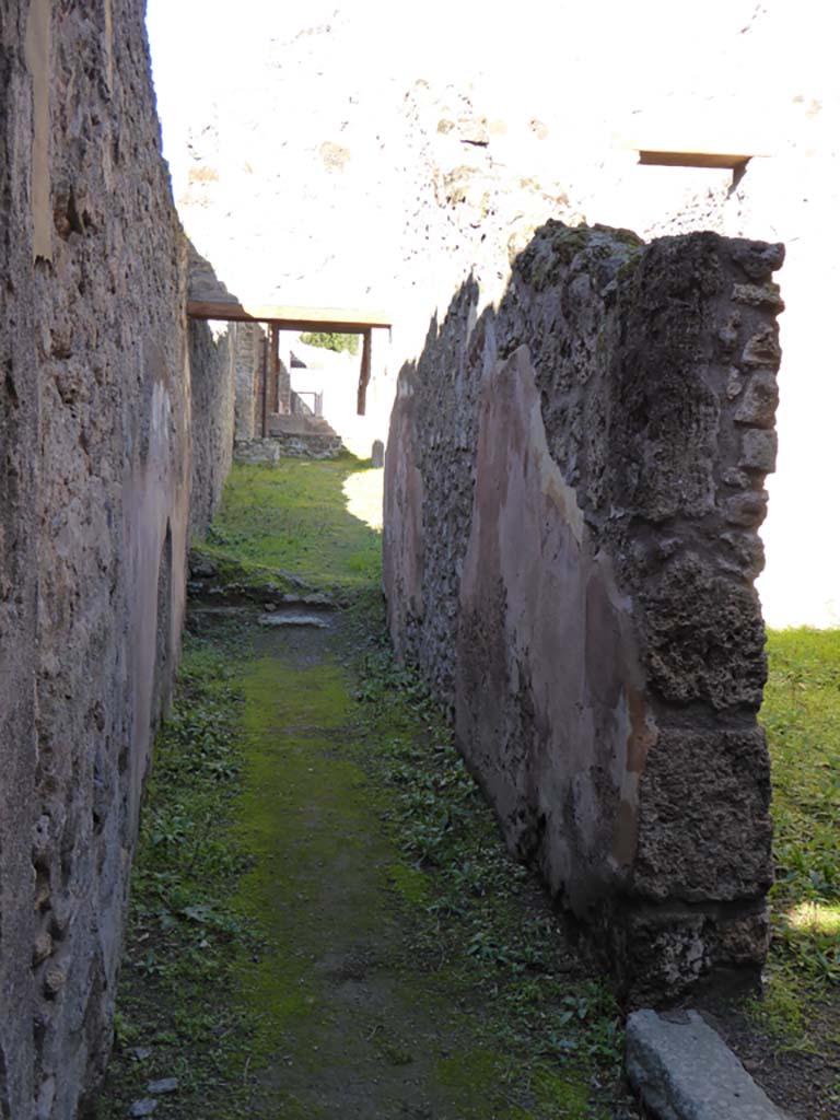 IX.5.17 Pompeii. January 2017. 
Room y, looking north into garden area u, of IX.5.6, with doorway to the stable q leading to room x is on the right.
Foto Annette Haug, ERC Grant 681269 DÉCOR


