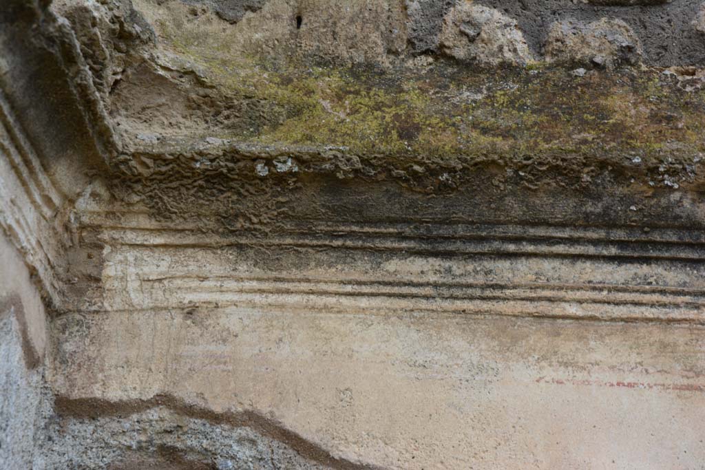 IX.5.18 Pompeii. March 2017. Room p, detail of cornice on north wall in upper north-west corner.
Foto Christian Beck, ERC Grant 681269 DÉCOR.
