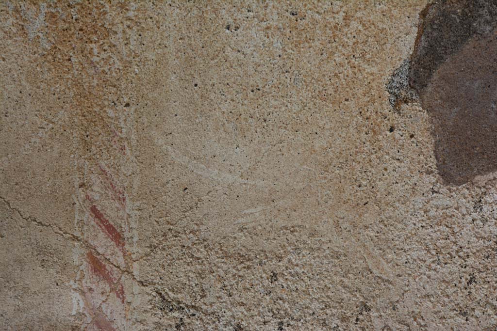 IX.5.18 Pompeii. March 2017. Room p, north wall with detail of painted candelabra, with remains of a painted bird on east side.
Foto Christian Beck, ERC Grant 681269 DÉCOR.
