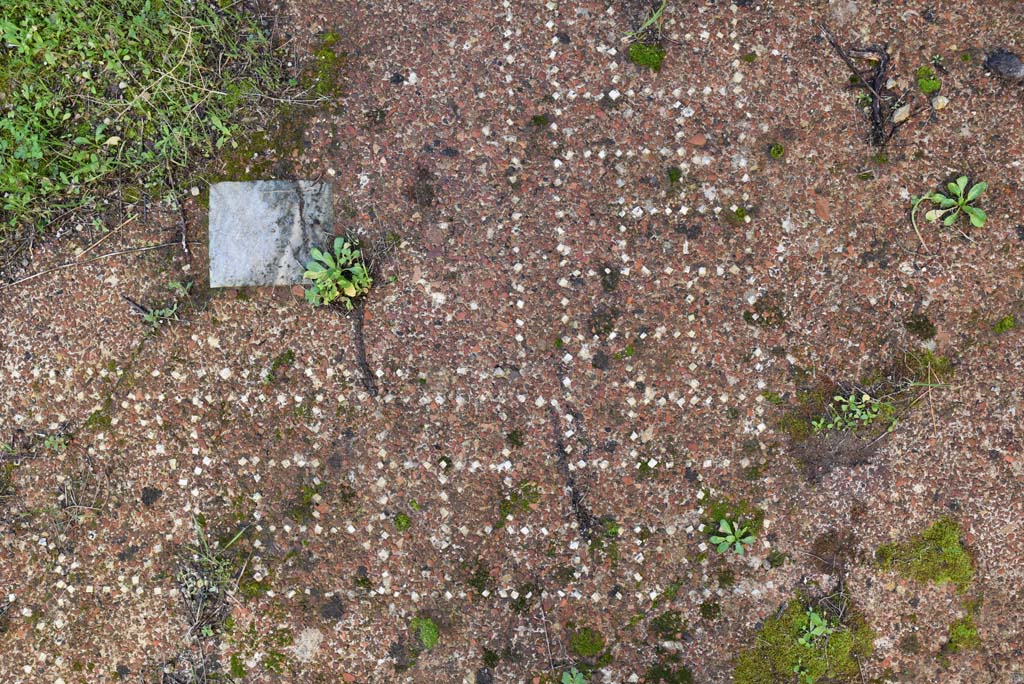 IX.5.18 Pompeii. March 2018. Triclinium “f”, detail of flooring.  
Foto Annette Haug, ERC Grant 681269 DÉCOR.
