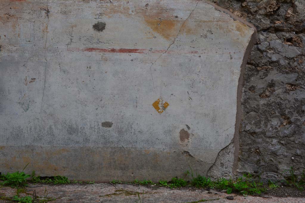 IX.5.18 Pompeii. March 2017. Room f, detail from painted zoccolo on lower north wall.
Foto Christian Beck, ERC Grant 681269 DÉCOR.

