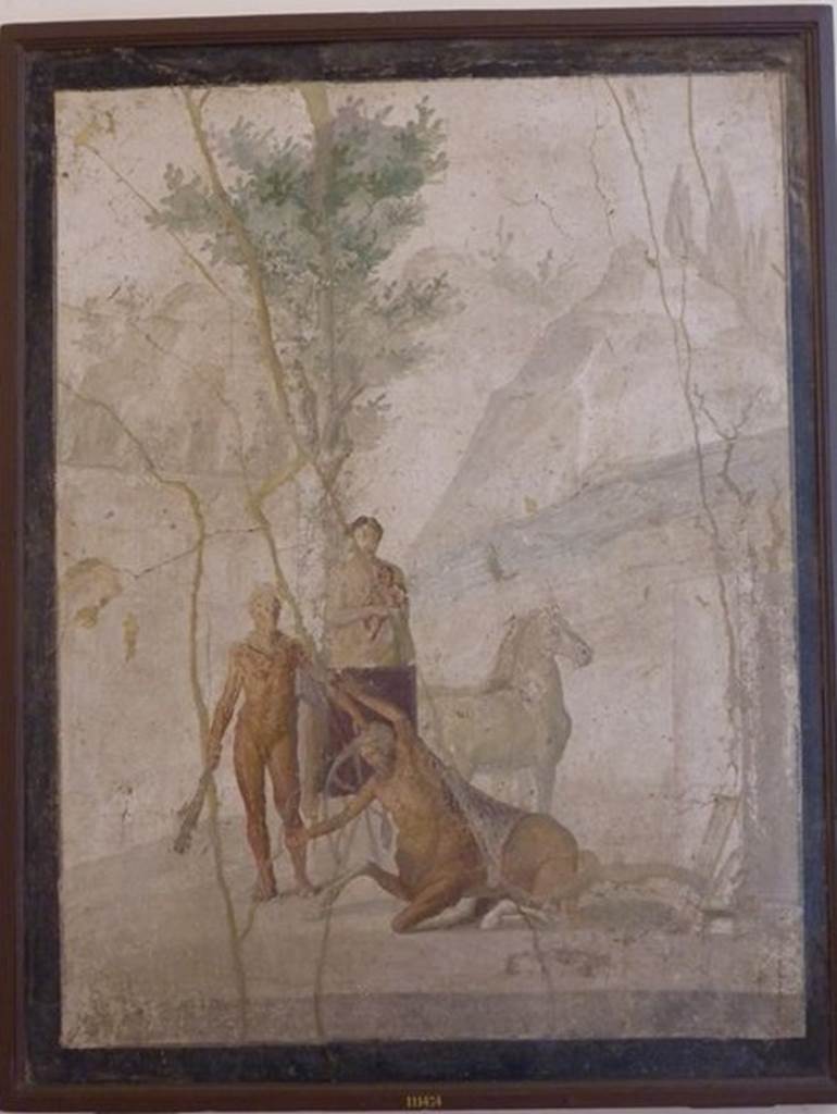 IX.5.18 Pompeii.  March 2009.  Room g.   Cubiculum.  North wall.  Wall painting of Hercules, Deianira and Nessus.  Now in Naples Archaeological Museum.  Inventory number: 111474.