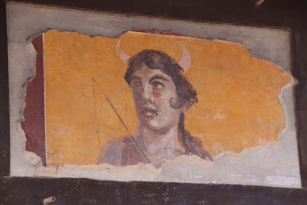 IX.7.1 Pompeii. September 2019. Painting of Diana or Luna. Photo courtesy of Klaus Heese.