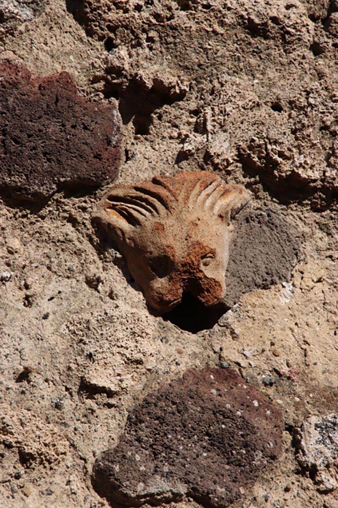 IX.7.21 Pompeii. Pompeii. October 2022. 
Detail of terracotta lion decoration embedded in wall. Photo courtesy of Klaus Heese. 

