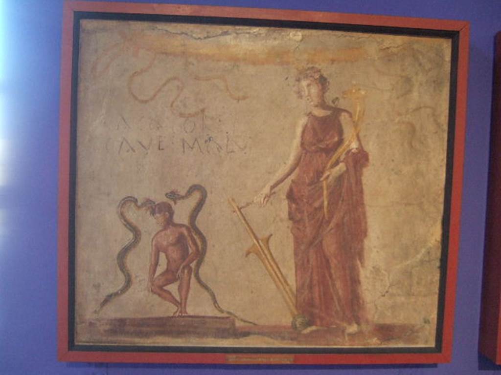 Lararium wall painting of Isis Fortuna found in corridor leading to latrine of IX.7.21/2.  Now in Naples Archaeological Museum. Inventory number: 112285. According to Boyce, to the left of Fortuna is a nude man, squatting in a position appropriate to the wording painted above his head -
Cacator
Cave Malv   [CIL IV 3832].
A serpent rises on each side of him, as if he is replacing the usual altar with offerings. Below the painting a terracotta monopodium stood against the wall, perhaps serving as an altar. See Boyce G. K., 1937. Corpus of the Lararia of Pompeii. Rome: MAAR 14. (p.88, no.442 and Pl. 26,2)  See Fröhlich, T., 1991. Lararien und Fassadenbilder in den Vesuvstädten. Mainz: von Zabern. (L106, Picture 10,1) According to Hobson, a painting from a latrine shows the goddess Fortuna next to a man between 2 snakes, apparently advising the person entering the toilet to beware of the danger of the pollution of defecation: Cacator cave malu(m). [CIL IV 3832]. See Hobson, B., 2009. Latrinae et foricae: Toilets in the Roman World. London; Duckworth. (p.111)

