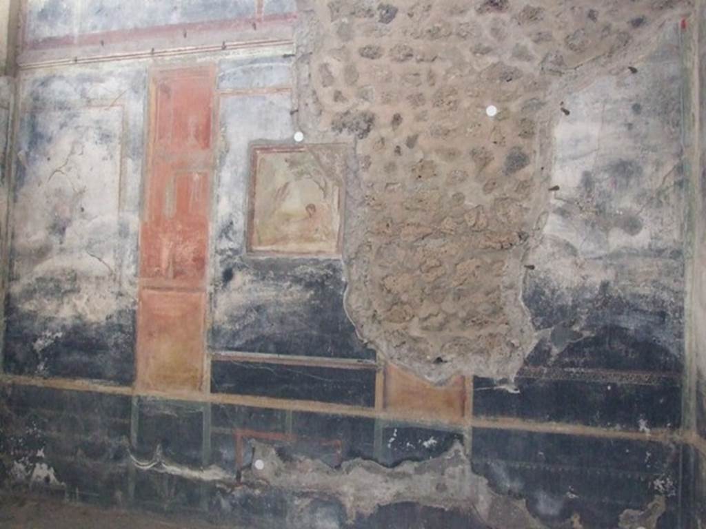 IX.8.6 Pompeii. December 2007. Room 40, east wall of cubiculum. The side panels have paintings of maenads in flight and the centre panel is a painting of Hercules.