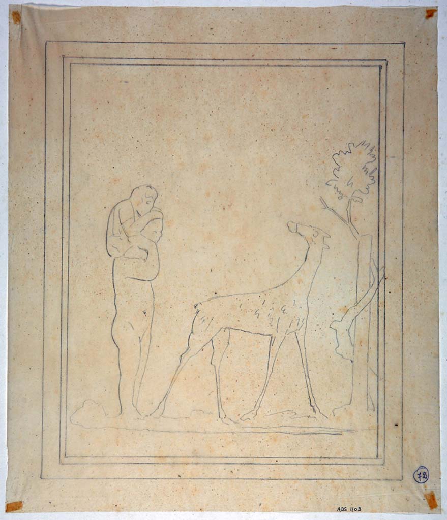 IX.8.6 Pompeii. Drawing by Geremia Discanno, of painting seen on east end of south wall of room to the left of the atrium.
The drawing shows a nude male African figure with a child on his shoulders; on the right is a giraffe that turns towards them and a tree twined round a pillar.
The painting has now faded and disappeared.
Now in Naples Archaeological Museum. Inventory number ADS 1103.
Photo © ICCD. http://www.catalogo.beniculturali.it
Utilizzabili alle condizioni della licenza Attribuzione - Non commerciale - Condividi allo stesso modo 2.5 Italia (CC BY-NC-SA 2.5 IT)
