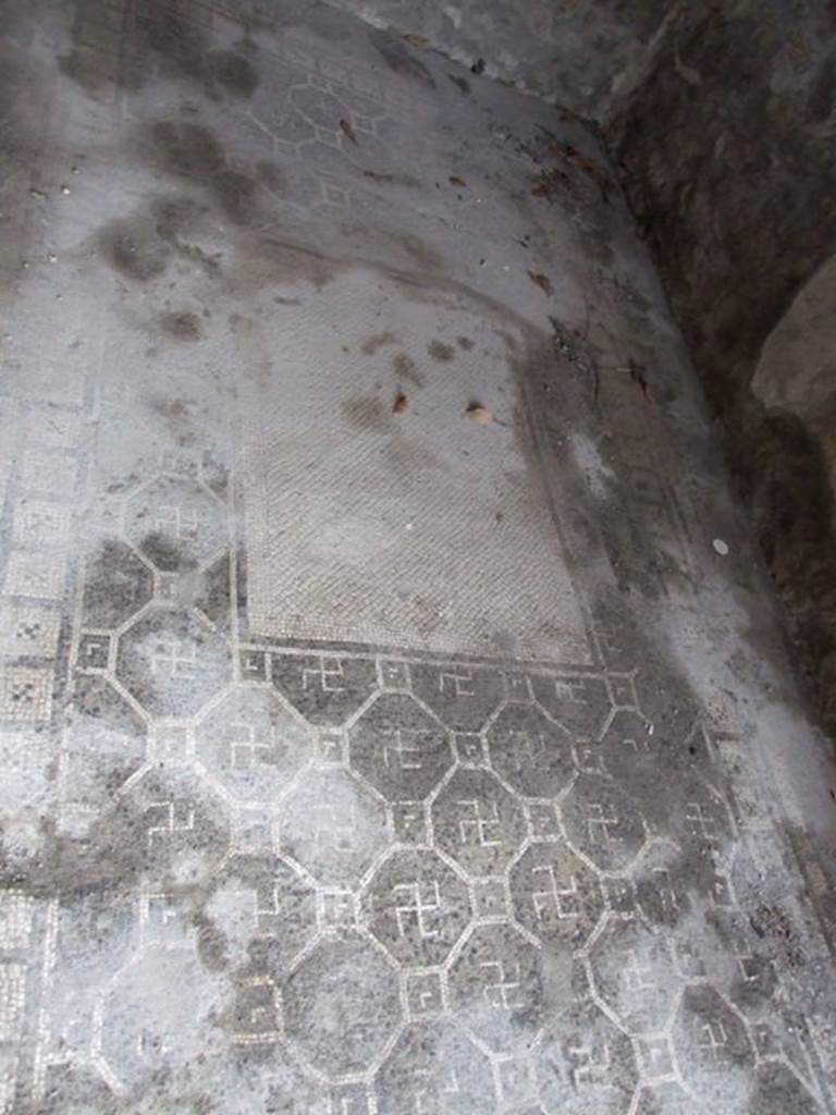 IX.8.6 Pompeii. March 2009. Room 55, looking north across mosaic floor in cubiculum.  The centre white rectangle is a modern replacement for the gorgon mosaic taken to the museum.