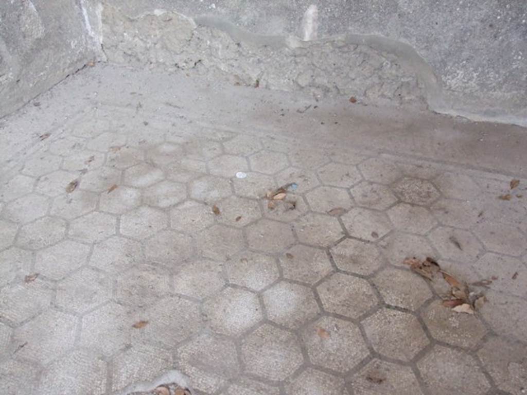 IX.8.6 Pompeii. March 2009.  Room 12. Exedra.  Mosaic floor.