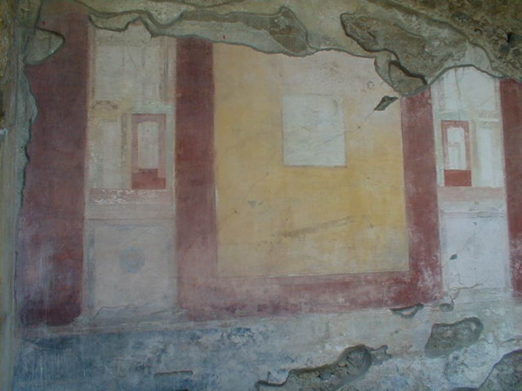 IX.8.6 Pompeii.  September 2004.  West wall of West Portico.  Sixth panel from the north.