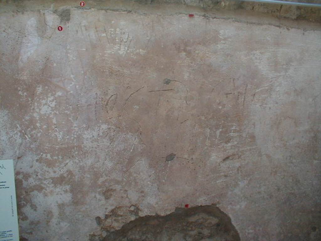 IX.8.6 Pompeii. September 2004. Room 27, scratched graffito in plaster on east wall.
At the top of the photo (small red numbered 1) would be CIL IV 5243, which read –
Memoria  (CIL IV 5243)
Higher on the wall (small red numbered 2) would be CIL IV 5242, which read –
quodam quidem testis eris quid senserim
vai cacaturiaro veniam
cacatum  (CIL IV 5242)
In the centre of the photo would be part of CIL IV 5244, see previous photo.
