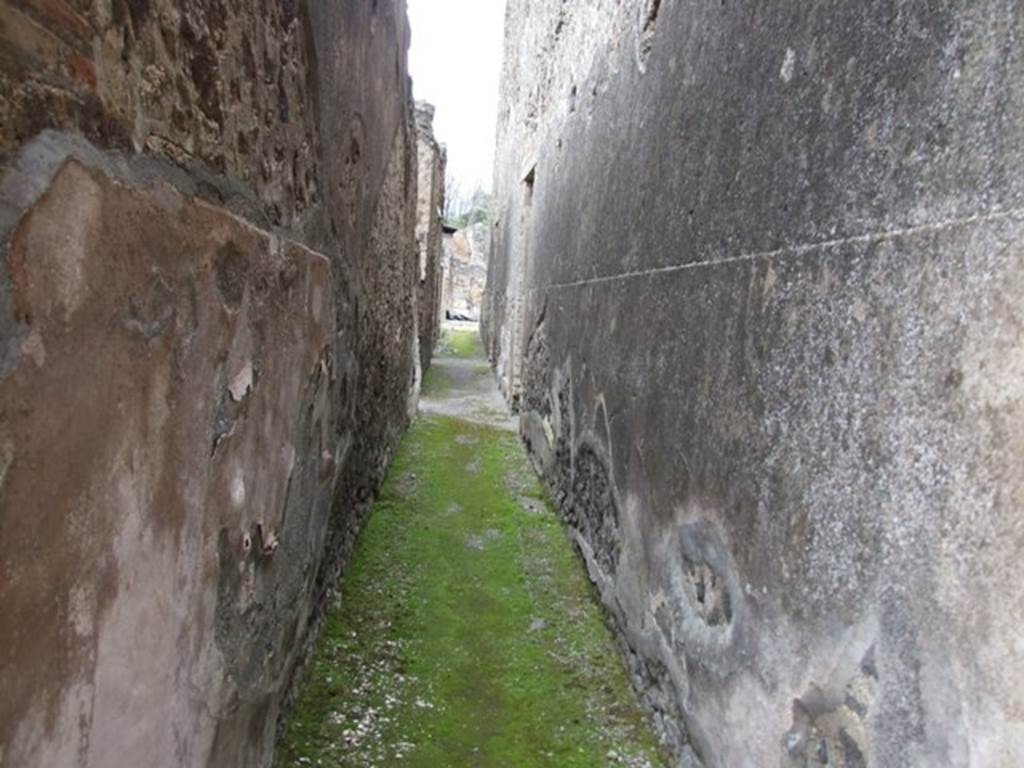 IX.8.6 Pompeii. March 2009.   Room 30, Corridor leading north.  