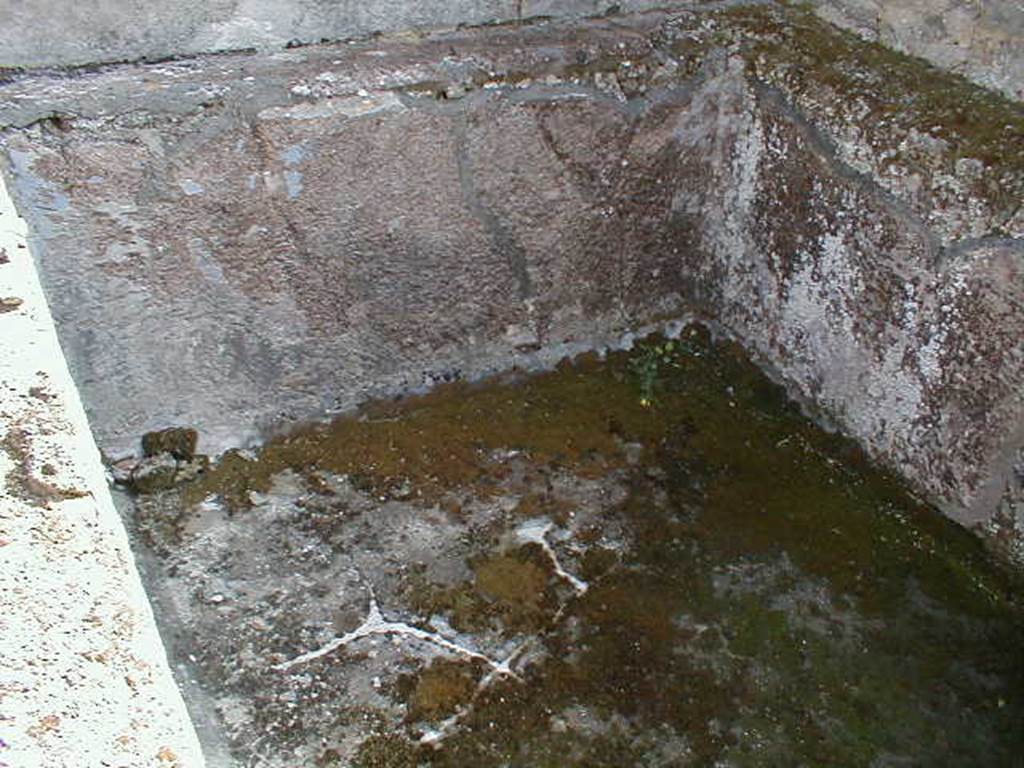 IX.8.6 Pompeii.  September 2004.  Room 31.  Swimming pool.