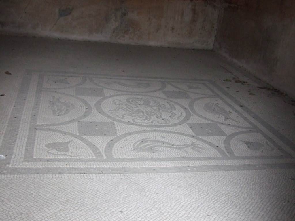 IX.8.6 Pompeii. March 2009.   Room 33.  Mosaic floor.