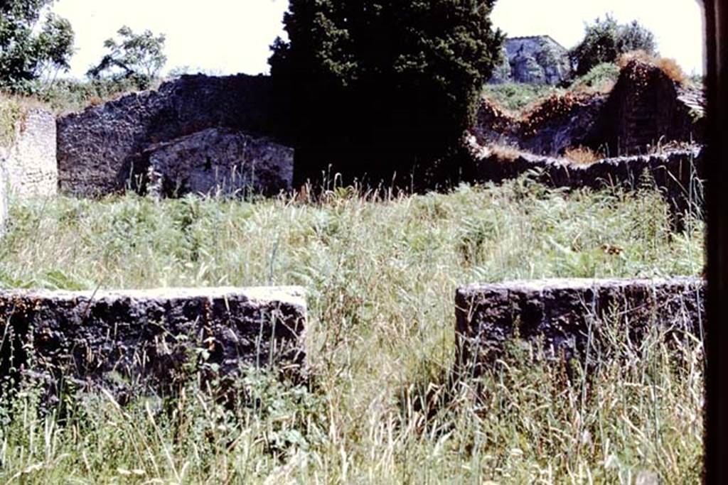IX.9.6 Pompeii, 1978. Looking south into garden at IX.9.10. Photo by Stanley A. Jashemski.   
Source: The Wilhelmina and Stanley A. Jashemski archive in the University of Maryland Library, Special Collections (See collection page) and made available under the Creative Commons Attribution-Non Commercial License v.4. See Licence and use details. J78f0276

