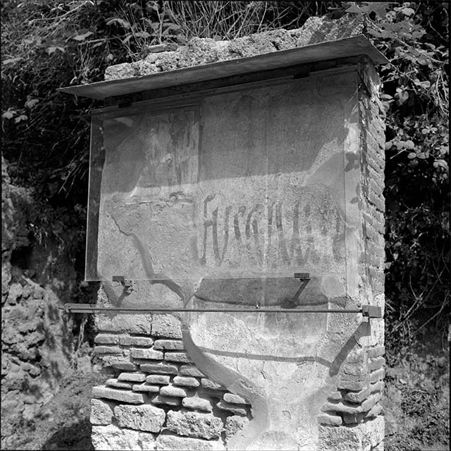 Pompeii. December 2007. Graffiti on front wall between IX.11.7 and IX.11.8. -   Fuscum  aed(ilem)       [CIL IV 7887]
