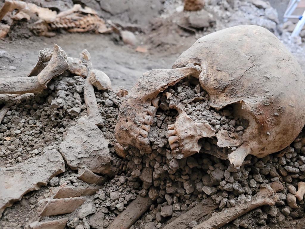 IX.12.9 Pompeii. May 2023. Room 13. Skull of victim 2.
Cranio della vittima 2.
Photograph © Parco Archeologico di Pompei.

