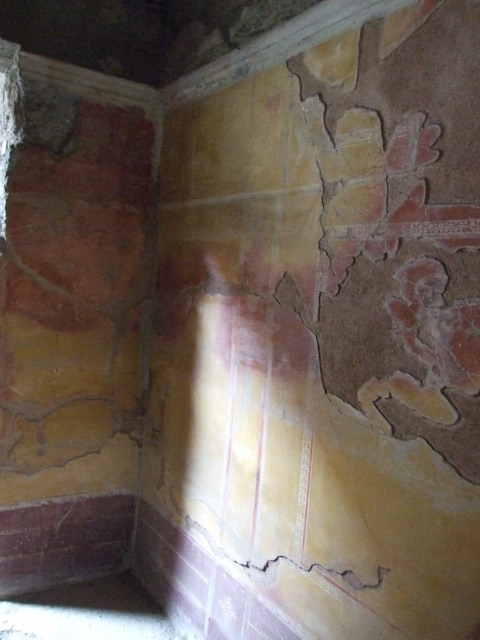 IX.13.1-3 Pompeii. March 2009. Room 19, south wall.