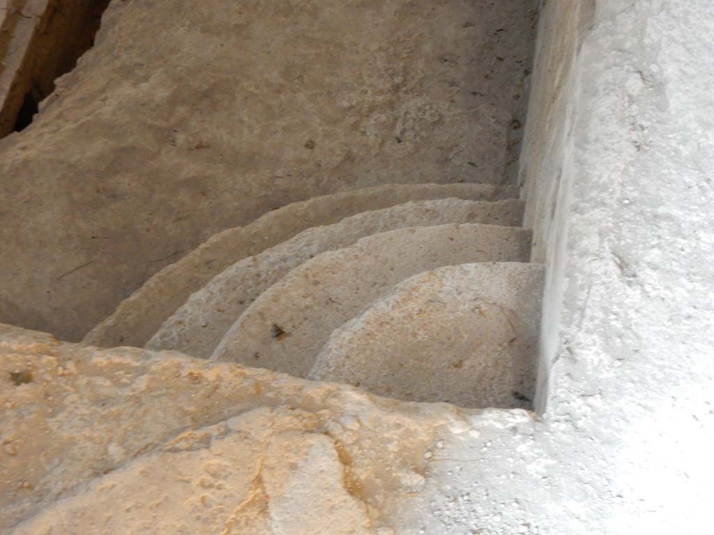 Villa San Marco, Stabiae, June 2019. Room 29, detail of steps to bath. Photo courtesy of Buzz Ferebee