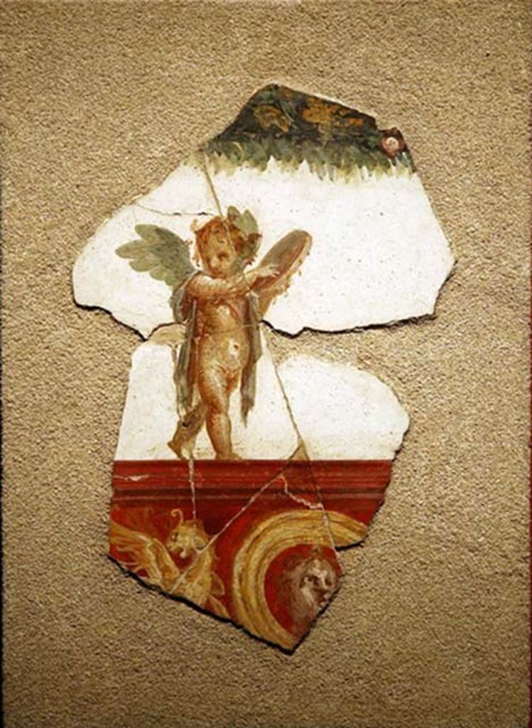 Villa San Marco, Stabiae. Corridor/ramp 4, fragment of painting with cupid playing a tambourine.
Found in a collapsed position.
Stabia Antiquarium, inventory number 62522.
See Guzzo P., Bonifacio G. and Sodo A.M. (a cura di), 2007. Otium Ludens: Stabiae - at the heart of the Roman empire. Hermitage Museum. Stabia: Nicola Longobardi, p. 116.
