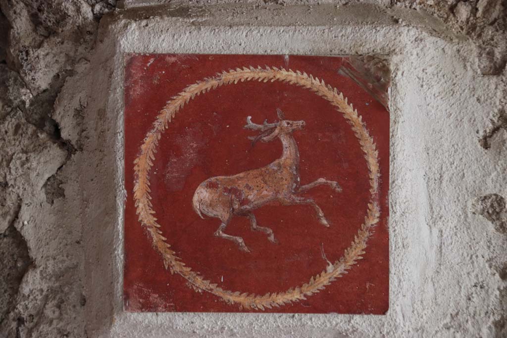 Villa San Marco, Stabiae, September 2019. Room 8, north wall, detail of deer, to right of doorway into room 13. Photo courtesy of Klaus Heese.
Now in Naples Archaeological Museum, inventory number 8809.

