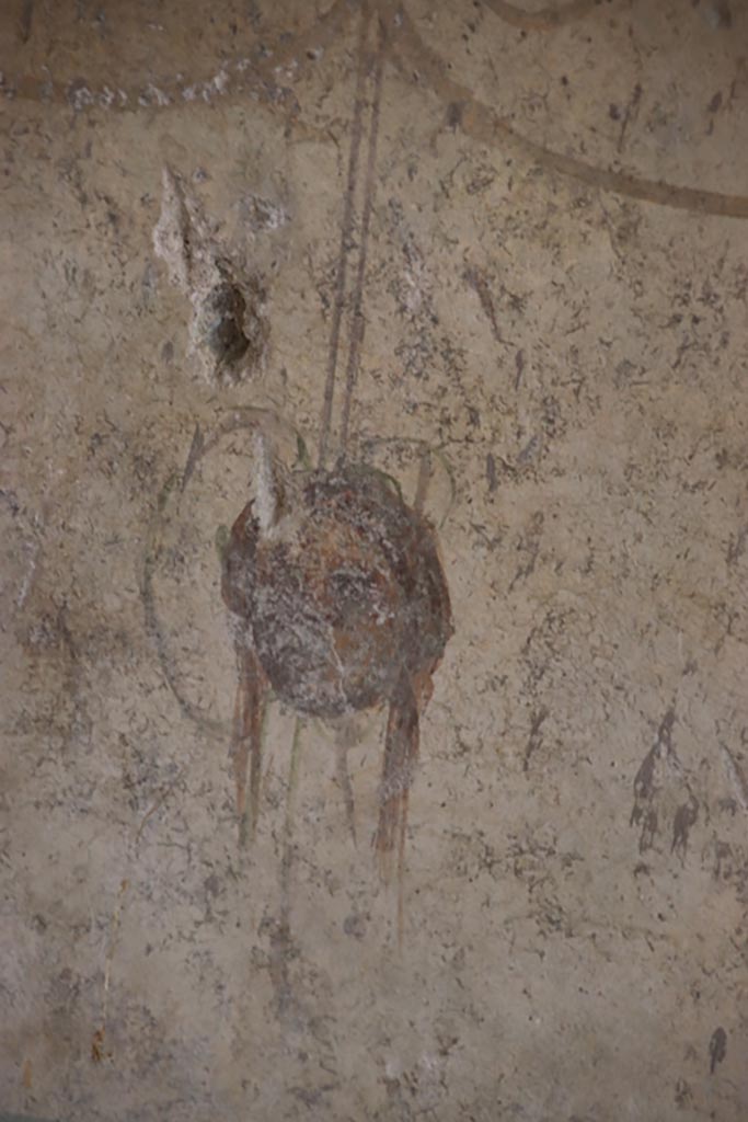 Villa San Marco, Stabiae, October 2022. 
Room 12, north wall, detail of face/mask. Photo courtesy of Klaus Heese.
