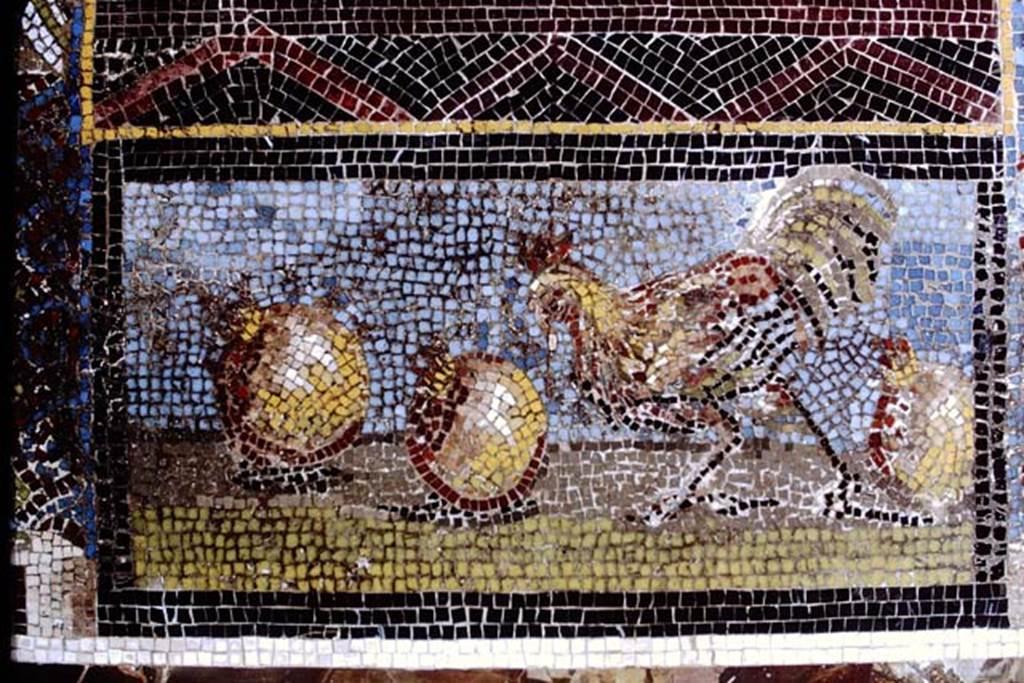 Stabiae, San Marco, 1968.  Detail of mosaic in lower part of niche showing a cock pecking at a pomegranate. Photo by Stanley A. Jashemski.
Source: The Wilhelmina and Stanley A. Jashemski archive in the University of Maryland Library, Special Collections (See collection page) and made available under the Creative Commons Attribution-Non Commercial License v.4. See Licence and use details. J68f1027
