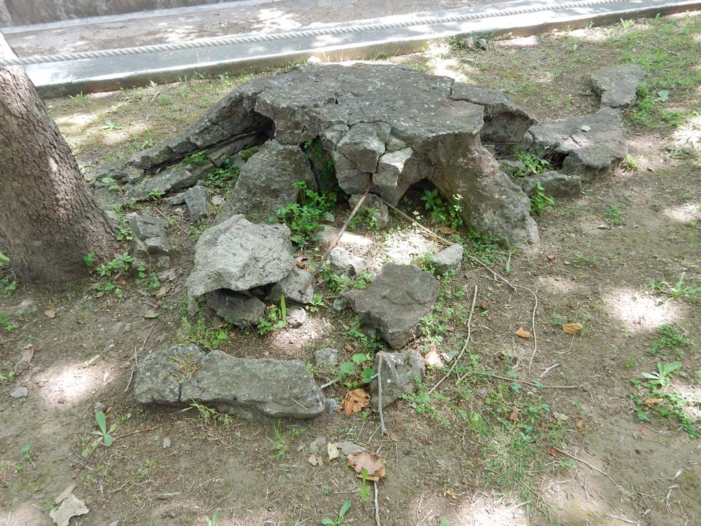 Villa San Marco, Stabiae, June 2019. Garden area 9, cast of tree-root on west side of pool. 
Photo courtesy of Buzz Ferebee
The casts of the roots of plane-trees have been left in situ and can be seen near the base of the newly-planted trees.
There would have been two rows of eight trees. 

