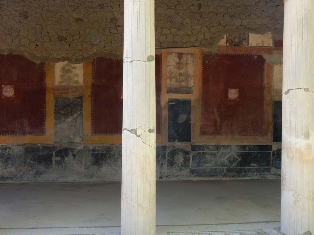 Villa San Marco, Stabiae, June 2019. Portico 20, continuation of east wall. Photo courtesy of Buzz Ferebee