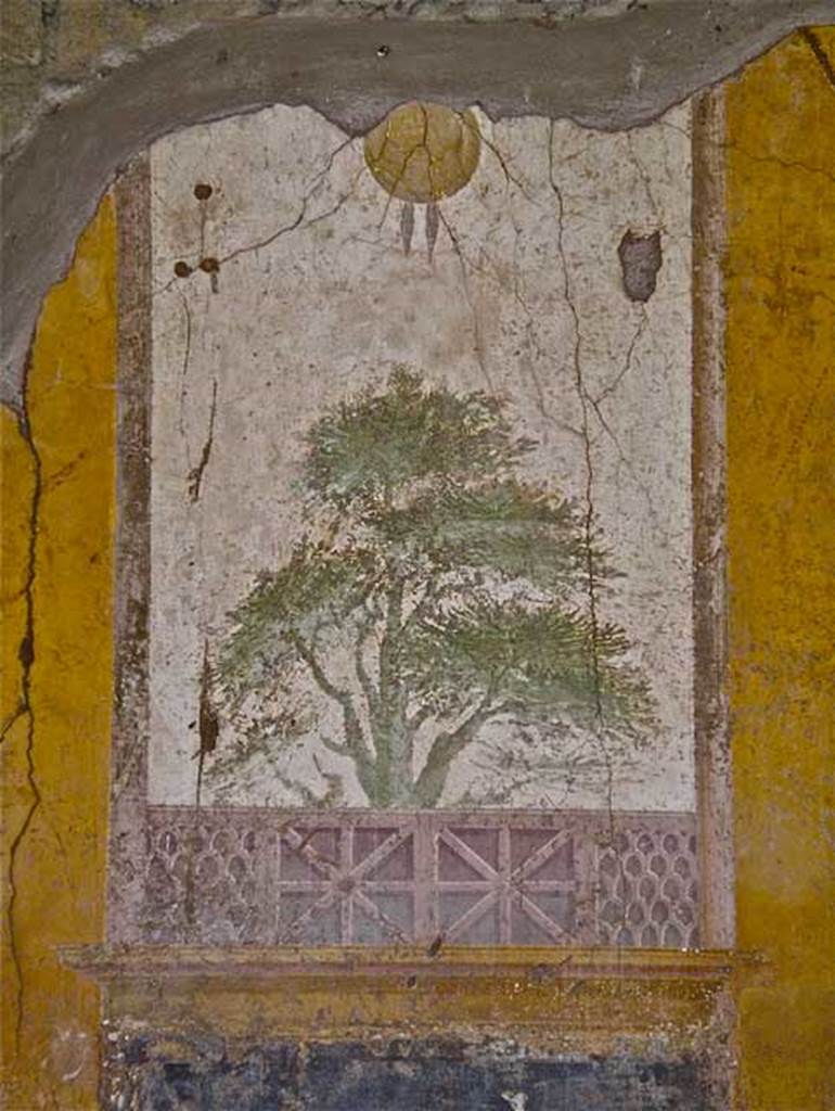 Villa San Marco, Stabiae, April 2005. Room 20, detail of fresco on east wall, before improvements. Photo courtesy of Michael Binns.