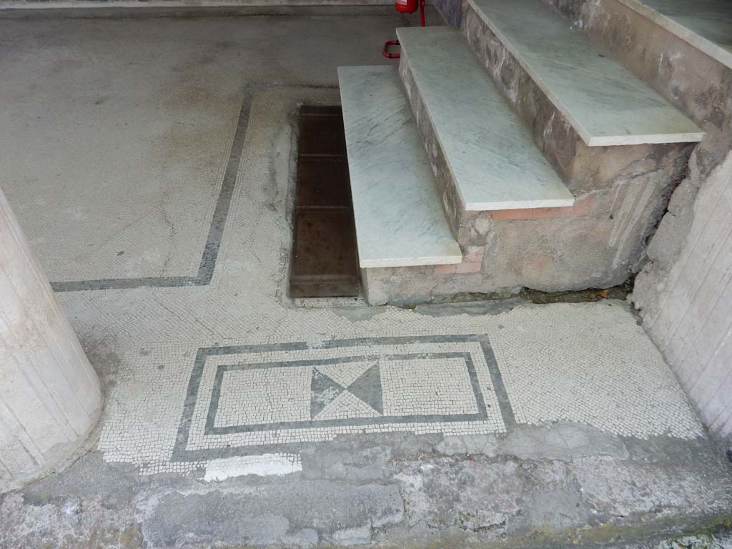 Villa San Marco, Stabiae, June 2019. Portico 20, south end, mosaic threshold between columns, and steps to room 30.  
Photo courtesy of Buzz Ferebee

