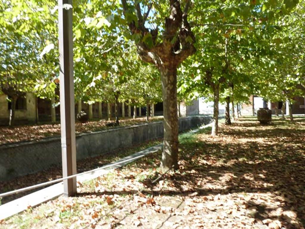 Villa San Marco, Stabiae, September 2015. Garden area 9, looking north-west across garden.