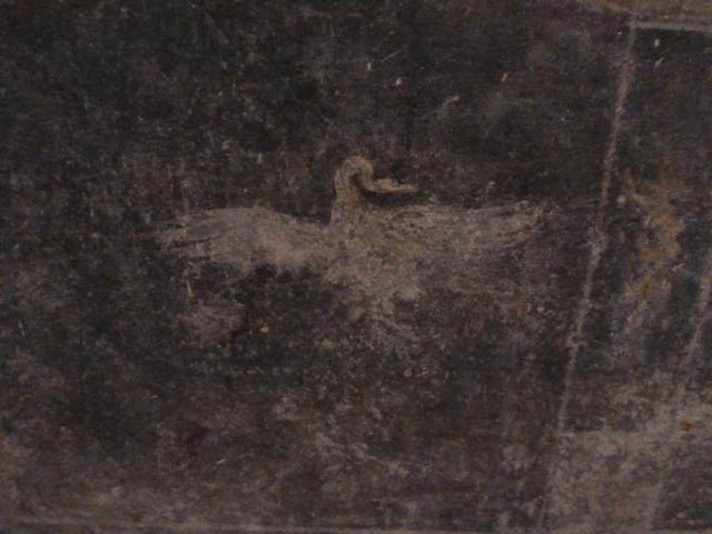 Villa San Marco, Stabiae, September 2015. Room 61, detail of painted bird in centre of zoccolo on west wall.