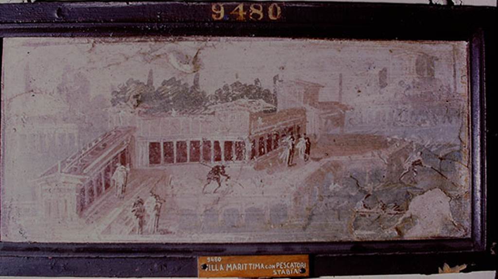 Villa San Marco, Stabiae. Found 17th January 1752. Room 52, centre of west wall.
Wall painting showing architectural landscape with people.
Now in Naples Archaeological Museum. Inventory number 9480.
See Pagano, M. and Prisciandaro, R., 2006. Studio sulle provenienze degli oggetti rinvenuti negli scavi borbonici del regno di Napoli.  Naples: Nicola Longobardi, p. 238.
Photo by Stanley A. Jashemski. 1975.
Source: The Wilhelmina and Stanley A. Jashemski archive in the University of Maryland Library, Special Collections (See collection page) and made available under the Creative Commons Attribution-Non Commercial License v.4. See Licence and use details.
J75f0553
