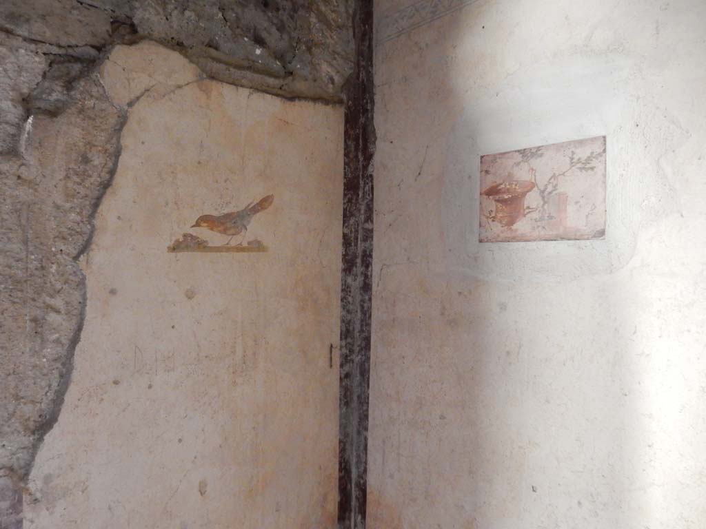 Villa San Marco, Stabiae, June 2019. Room 52, south-east corner, with painting of bird on east wall. 
Photo courtesy of Buzz Ferebee


