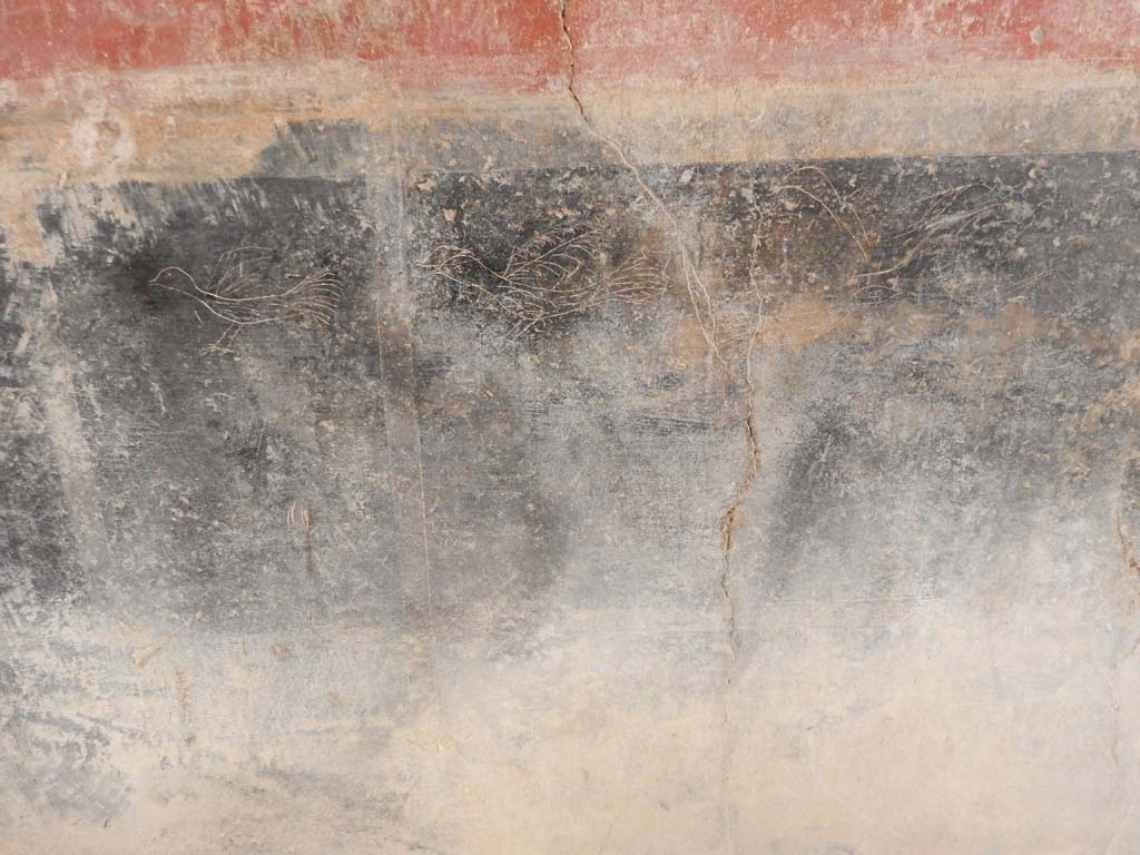 Villa San Marco, Stabiae, June 2019. Corridor 32, graffito of 3 birds on zoccolo at south end of the west wall.
Photo courtesy of Buzz Ferebee
