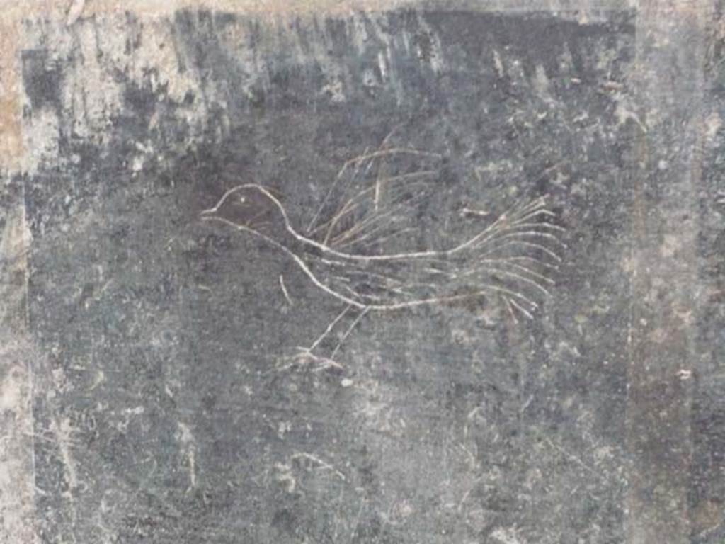 Villa San Marco, Stabiae, May 2010. Corridor 32, graffito of a bird on zoccolo at south end of the west wall. Photo courtesy of Buzz Ferebee.