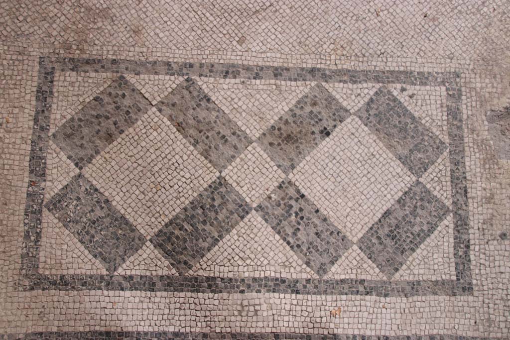 Villa San Marco, Stabiae, September 2021. 
Corridor 22 into room 25, detail of mosaic threshold in doorway. Photo courtesy of Klaus Heese.
